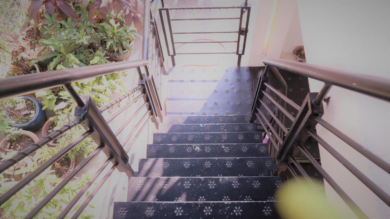 P.I.P Houses ホーチミン市 エクステリア 写真